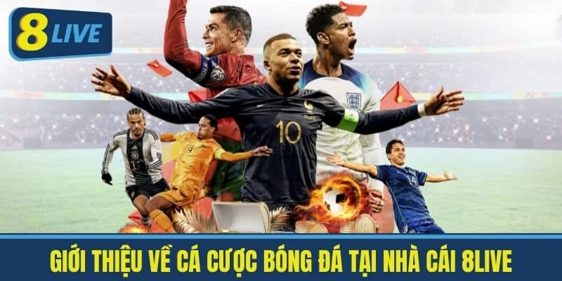 Giới Thiệu về Cá Cược Bóng Đá Tại Nhà Cái 8Live