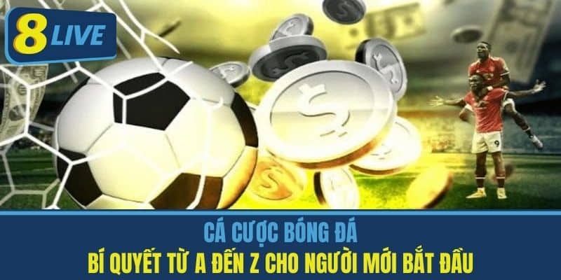 Cá Cược Bóng Đá