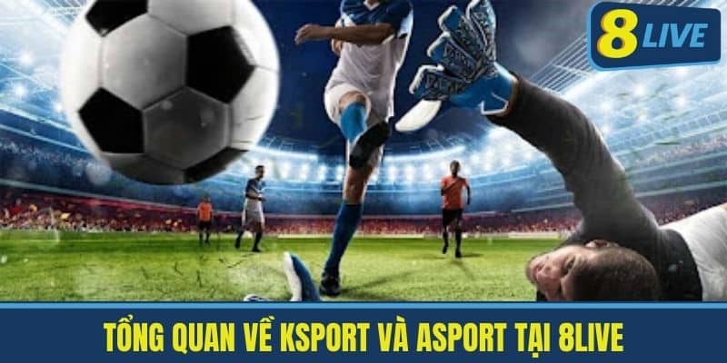 Tổng Quan Về Ksport và Asport Tại 8live