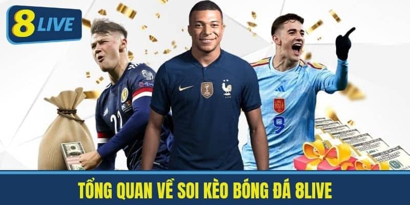 Tổng quan về Soi kèo bóng đá 8Live